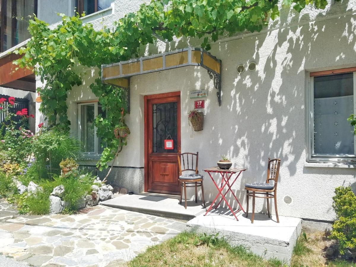 Apartma Raft, Bovec Εξωτερικό φωτογραφία