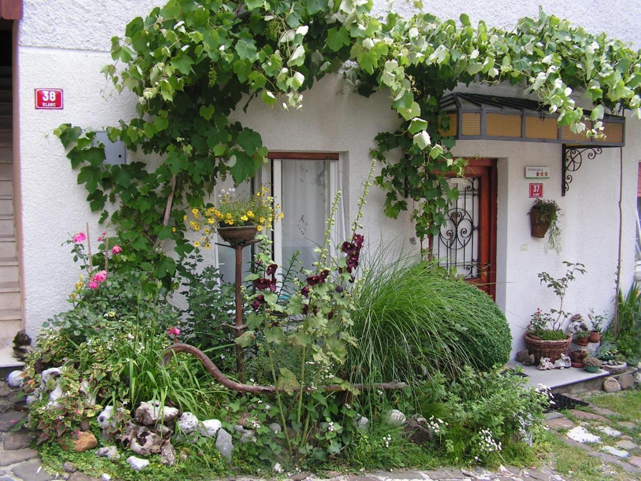 Apartma Raft, Bovec Εξωτερικό φωτογραφία